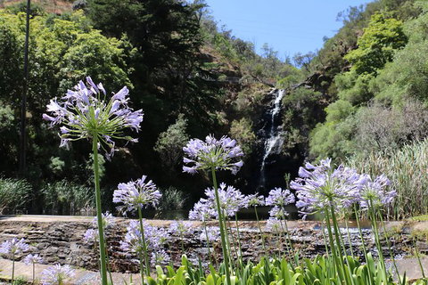 Self-Guided Waterfall Gully To Mount Lofty Hike From Adelaide - Accommodation Directory 6