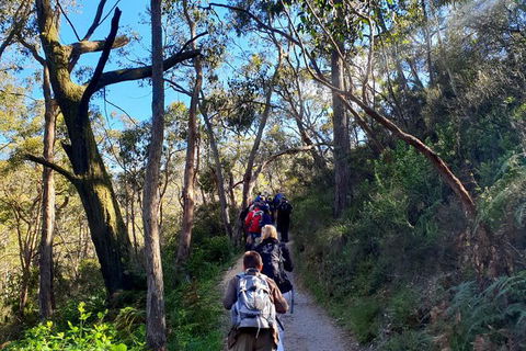 Self-Guided Waterfall Gully To Mount Lofty Hike From Adelaide - Accommodation Directory 7