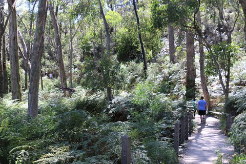 Self-Guided Waterfall Gully To Mount Lofty Hike From Adelaide - Accommodation Directory 3