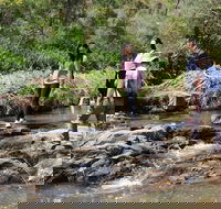 Small Group Bush Walk  BBQ with Wine Day Trip from Adelaide - Accommodation Directory