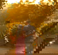 Adelaide Hills and Hahndorf Tour From Adelaide With Wine and Cheese Tasting - Accommodation Directory