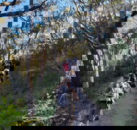 Mount Lofty Hike and Cleland Wildlife Park Day Trip from Adelaide - Accommodation Directory