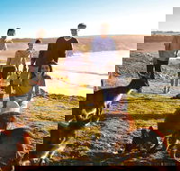 5-Day Adelaide and Kangaroo Island Tour Including Barossa Valley Wine Tasting - Accommodation Directory