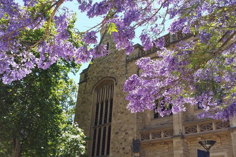 Cultural Caper Adelaide Walking Tour - Accommodation Directory 7