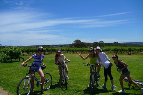 McLaren Vale Wine Tour By Bike - Accommodation Directory 1