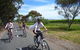 McLaren Vale Wine Tour By Bike - thumb 0