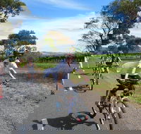 McLaren Vale Wine Tour by Bike - Accommodation Directory