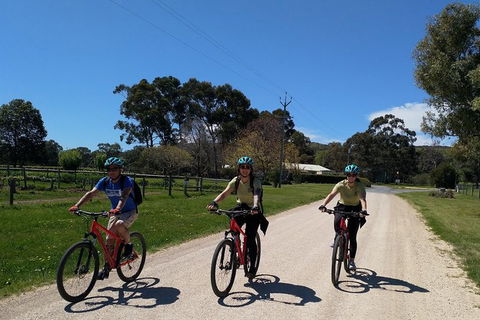 McLaren Vale Wine Tour By Bike - Accommodation Directory 8