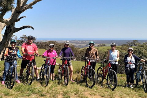 McLaren Vale Wine Tour By Bike - Accommodation Directory 6