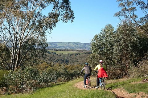 McLaren Vale Wine Tour By Bike - Accommodation Directory 13