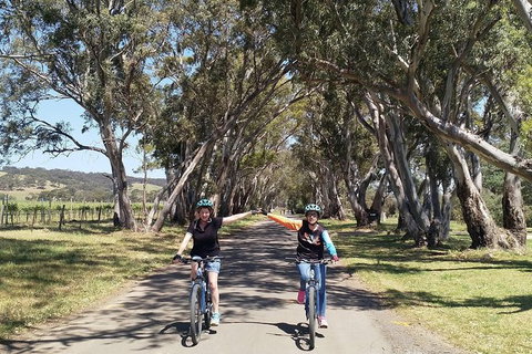 McLaren Vale Wine Tour By Bike - Accommodation Directory 14