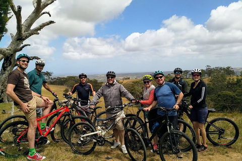 McLaren Vale Wine Tour By Bike - Accommodation Directory 7