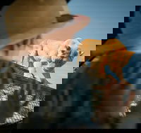 Lions 360 Experience and a Day at Monarto Safari Park - Accommodation Directory