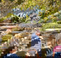 Adelaide Zoo Behind the Scenes Experience Panda and Friends Tour - Accommodation Directory