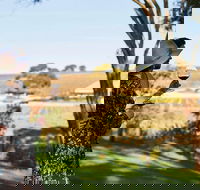 Micro-Group McLaren Vale Wine Tour from Adelaide - Accommodation Directory