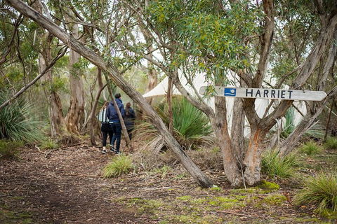 2-Day Kangaroo Island 4WD Small-Group Tour From Adelaide - Accommodation Directory 3