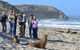 2-Day Kangaroo Island 4WD Small-Group Tour From Adelaide - thumb 5