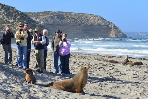 2-Day Kangaroo Island 4WD Small-Group Tour From Adelaide - Accommodation Directory 5