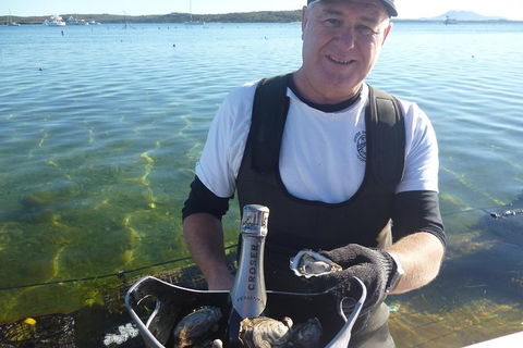 Coffin Bay Oyster Farm & Tasting Tour - Accommodation Directory 0