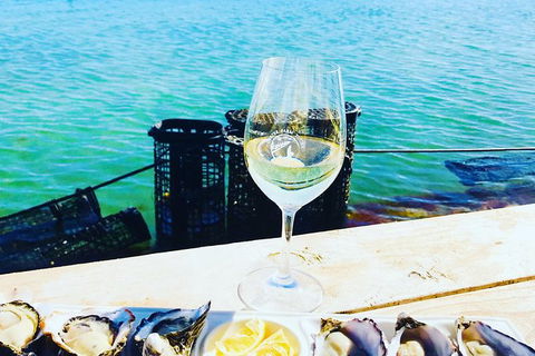 Coffin Bay Oyster Farm & Tasting Tour - Accommodation Directory 11
