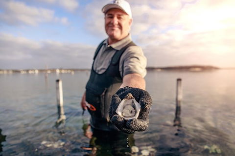 Coffin Bay Oyster Farm & Tasting Tour - Accommodation Directory 3