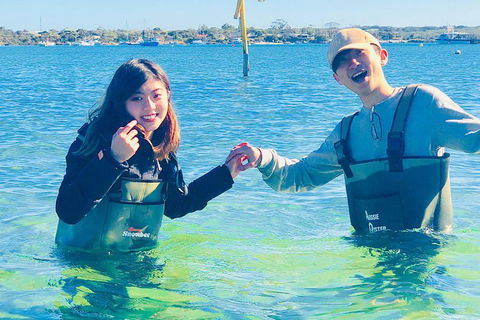 Coffin Bay Oyster Farm & Tasting Tour - Accommodation Directory 4
