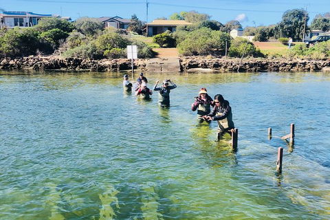Coffin Bay Oyster Farm & Tasting Tour - Accommodation Directory 6