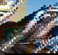 Full-Day Tour in South Australia Highlights - Accommodation Directory