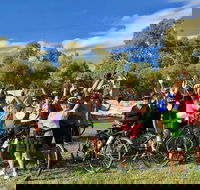 McLaren Vale Shiraz Trail Cycling Tour from Adelaide - Accommodation Directory