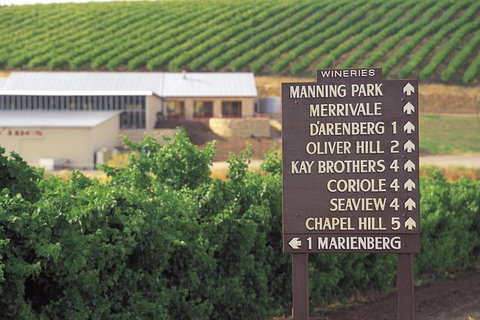 McLaren Vale Shiraz Trail Cycling Tour From Adelaide - Accommodation Directory 8