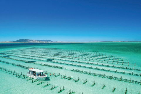 Coffin Bay Private Day Tour From Port Lincoln - A Taste Of Coffin Bay - Accommodation Directory 0