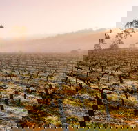 Barossa Valley Private Tour It's your tour the way you want it. - Accommodation Directory