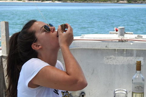Coffin Bay Day Tour - A Taste Of Coffin Bay - Accommodation Directory 15