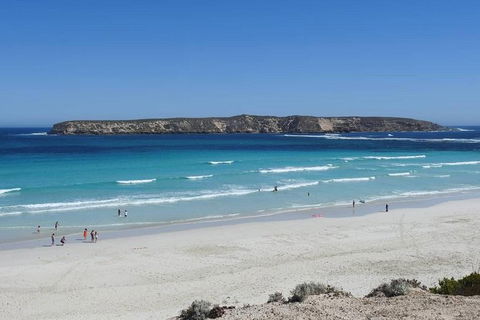 Coffin Bay Day Tour - A Taste Of Coffin Bay - Accommodation Directory 12