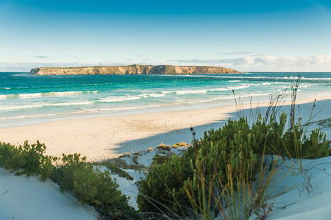 Coffin Bay Day Tour - A Taste Of Coffin Bay - Accommodation Directory 13