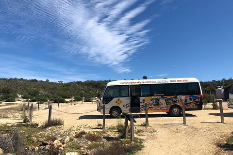 Coffin Bay Day Tour - A Taste Of Coffin Bay - Accommodation Directory 4