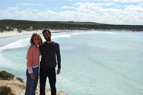 Coffin Bay Day Tour - A Taste Of Coffin Bay - Accommodation Directory 14