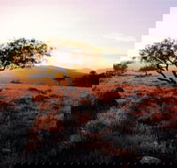 Adelaide To Coober Pedy 7 DAY SMALL GROUP 4WD SAFARI - Accommodation Directory