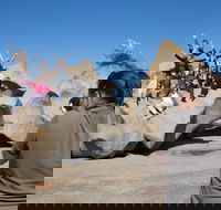 2-Day Kangaroo Island Adventure from Adelaide - Accommodation Directory