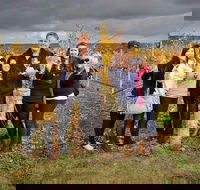 McLaren Vale Winery Small Group Tour with Wine Tasting and Lunch - Accommodation Directory