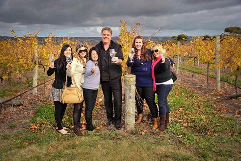 McLaren Vale Winery Small Group Tour With Wine Tasting And Lunch - Accommodation Directory 0