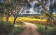 McLaren Vale Winery Small Group Tour With Wine Tasting And Lunch - thumb 3