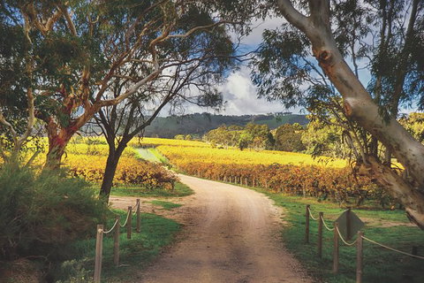 McLaren Vale Winery Small Group Tour With Wine Tasting And Lunch - Accommodation Directory 3