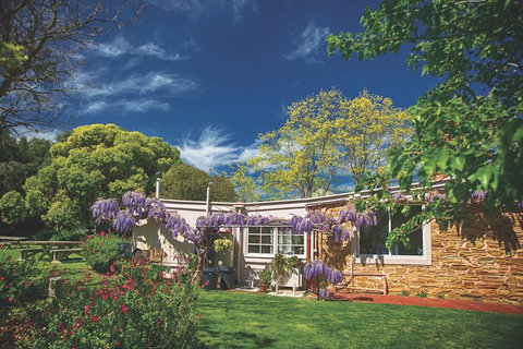 McLaren Vale Winery Small Group Tour With Wine Tasting And Lunch - Accommodation Directory 5