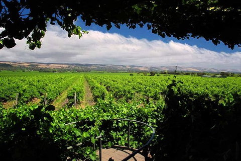 McLaren Vale Winery Small Group Tour With Wine Tasting And Lunch - Accommodation Directory 6