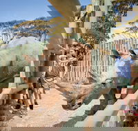 Rhino Interactive and a day at Monarto Safari Park - Accommodation Directory