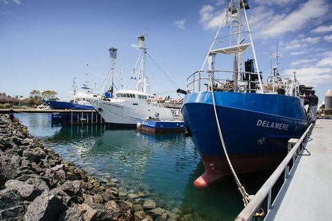 Exceptional Port Lincoln, Seafood And Wildlife Tour - Accommodation Directory 8