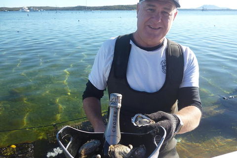Oyster Farm And Tasting Tour With Hotel Pick-up And Return From Port Lincoln - Accommodation Directory 0