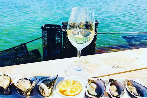Oyster Farm And Tasting Tour With Hotel Pick-up And Return From Port Lincoln - Accommodation Directory 10
