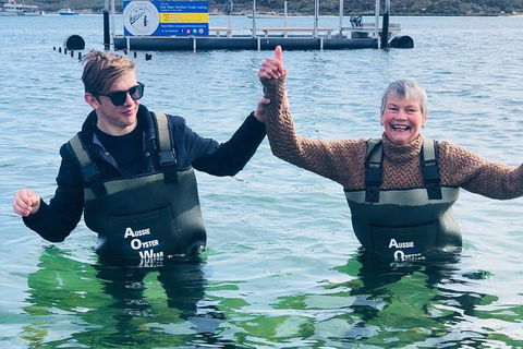 Oyster Farm And Tasting Tour With Hotel Pick-up And Return From Port Lincoln - Accommodation Directory 5